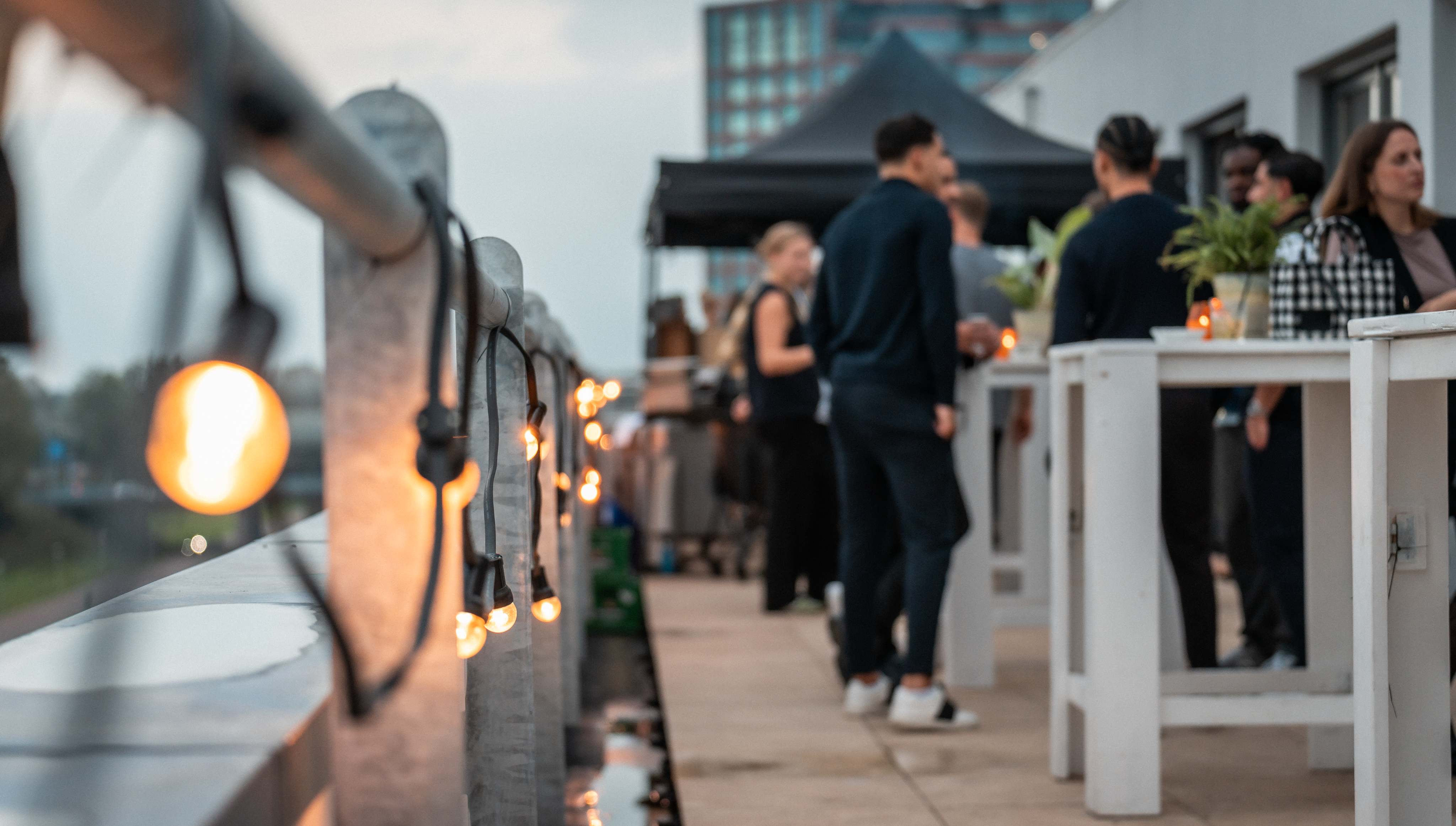 "precise, trustworthy, approachable, reliable"